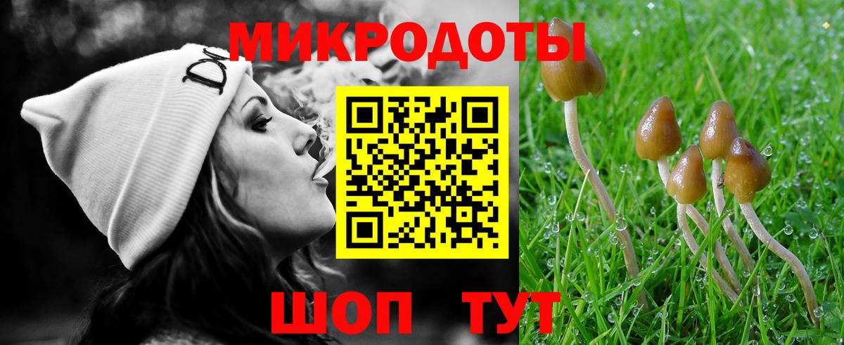 Псилоцибиновые грибы мицелий  Вход с VPN  Кизляр  Псилоцибиновые грибы GOLDEN TEACHER 