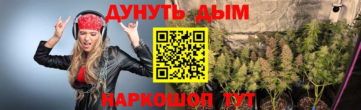 Кизляр  Марихуана планчик  Марихуана MAZAR  Вход с VPN  Бошки Шишки OG Kush  Каннабис ГИДРОПОН 